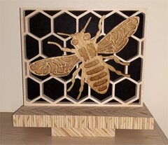 20240214_140850BEE-DONE.jpg
