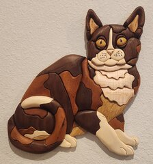 calico cat 1.jpg