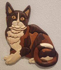calico cat 2.jpg