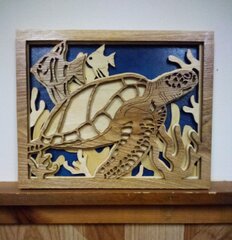 Turtle and friends.jpg