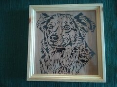 IMG_20240601_204340619 dog.jpg