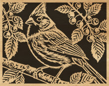 127-cardinal