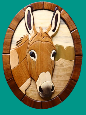 DonkeyPortrait.thumb.png.23fcccb717208c79c9e905282c968b60.png