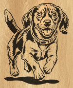 131-beagle