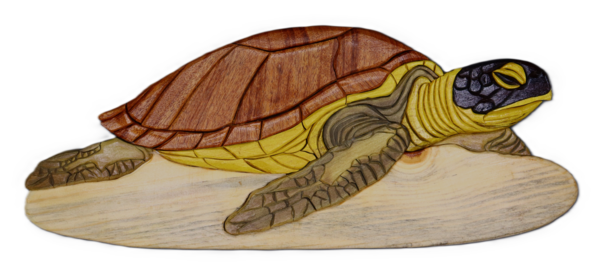 Resting Sea Turtle.png