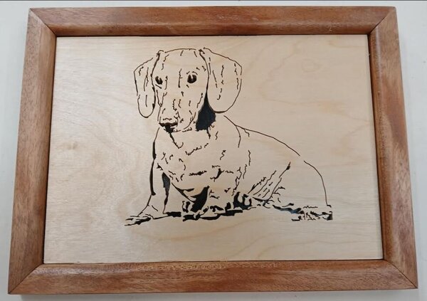 Buds dog.JPG