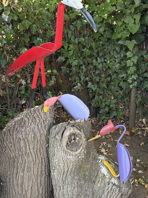 IMG_4833.jpeg