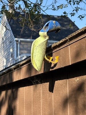 IMG_4834.jpeg