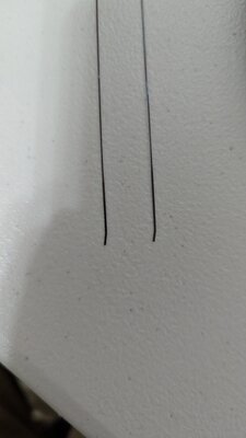 PXL_20251017_134009189.thumb.jpg.9aaf3c7dd1be027e345bb0331ef62b18.jpg