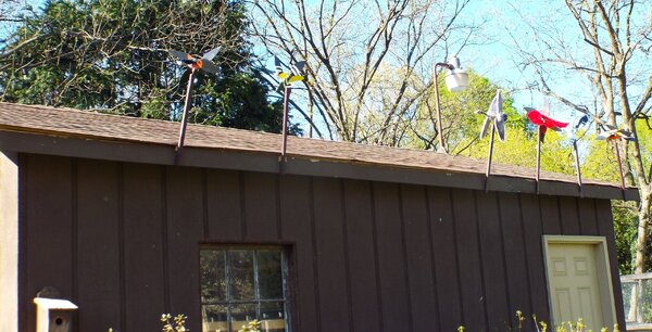 Whirligigs.JPG