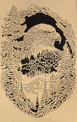 Eagle framed in woodland 1.JPG