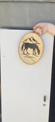 ovalhorse.thumb.jpeg.a1622bc1fac2ce892fa2887cf4f1f2a4.jpeg