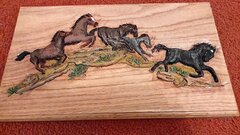 Wild Horses.jpg