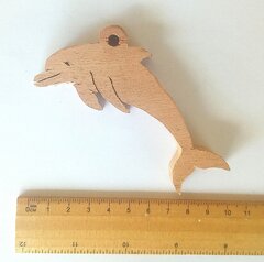 dolphin 1