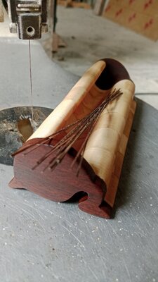 IMG_20260208_103545.jpg