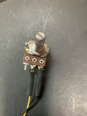 IMG_5993.jpeg