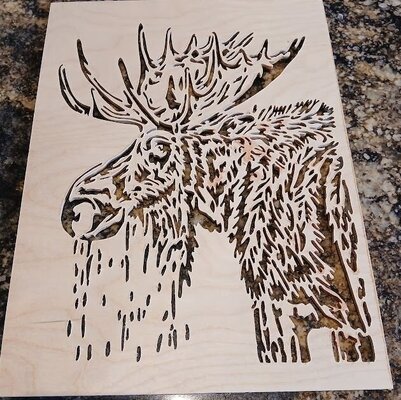 moose 1.JPG