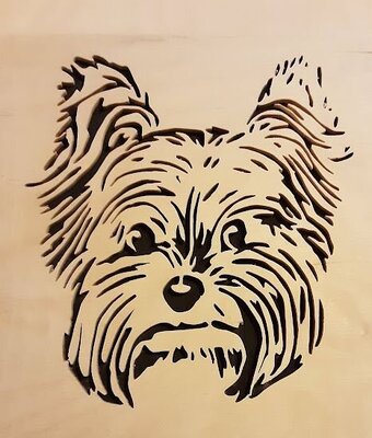puppy 1.JPG