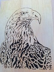 Eagle.jpg