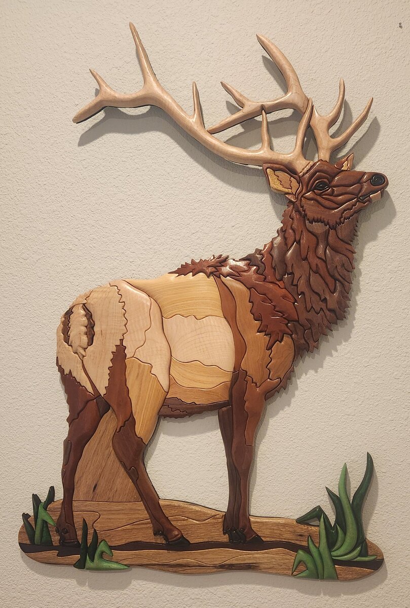standing elk.jpg