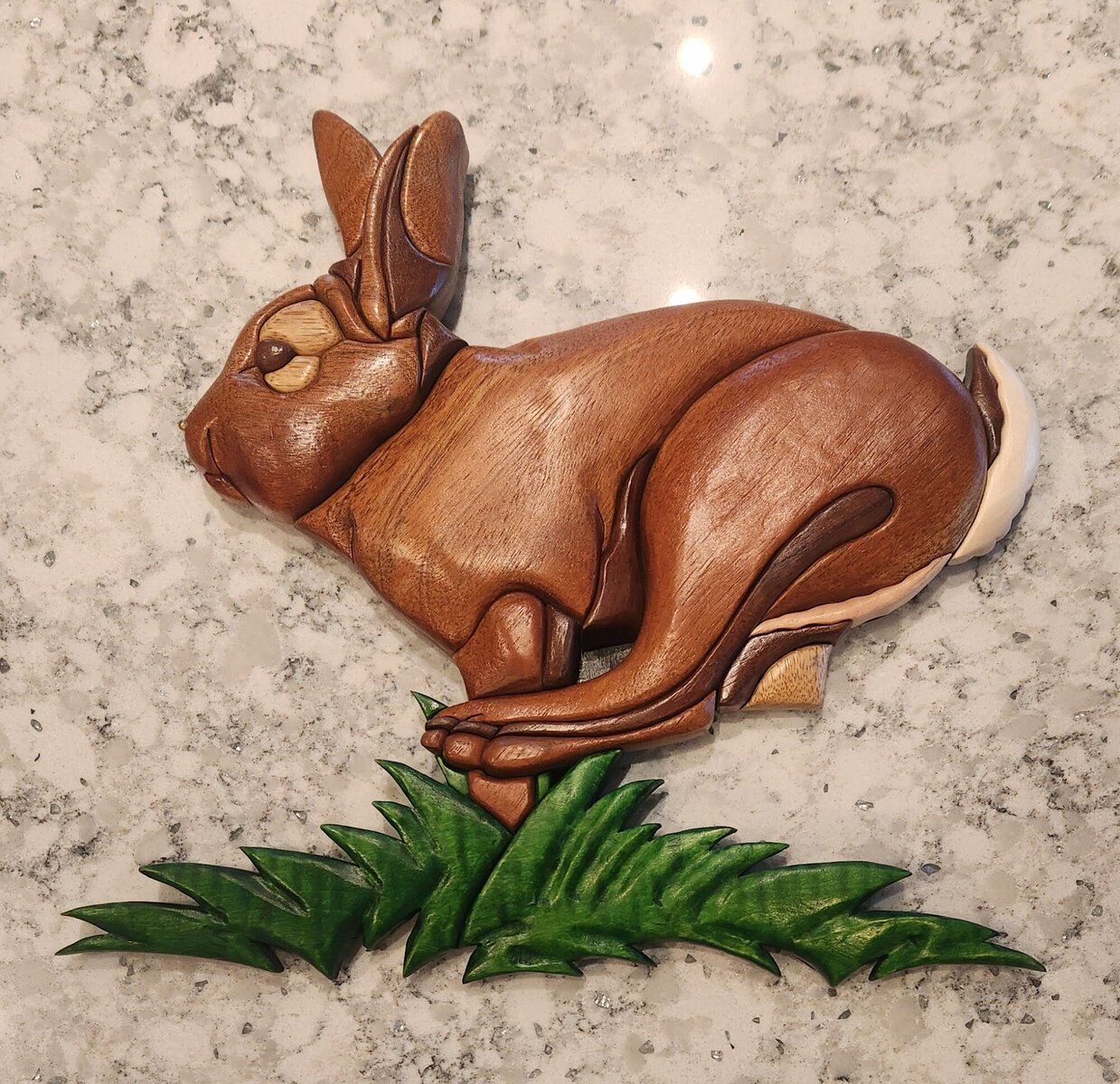 bunny