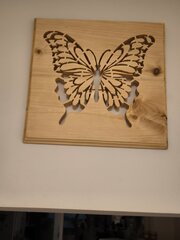 IMG_20260214_203808.jpg