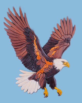 EagleFlying.thumb.JPG.2cf3da8e827a4c40c82b5b19113e25a8.JPG