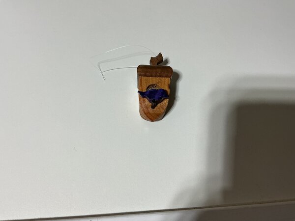 IMG_0263.jpeg